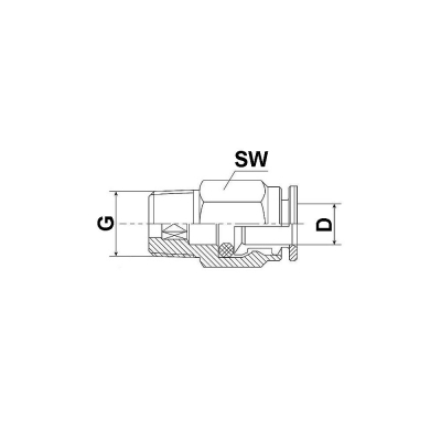 Gerade Steckverschraubung Push-In D6-1/8" BSP-SW12